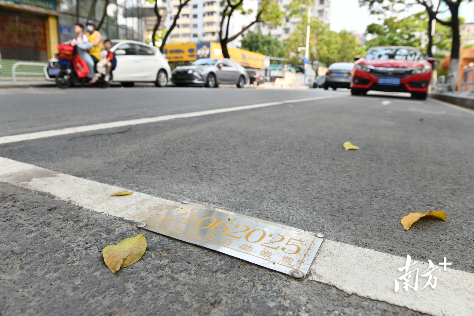 每个停车位都有进行编码。