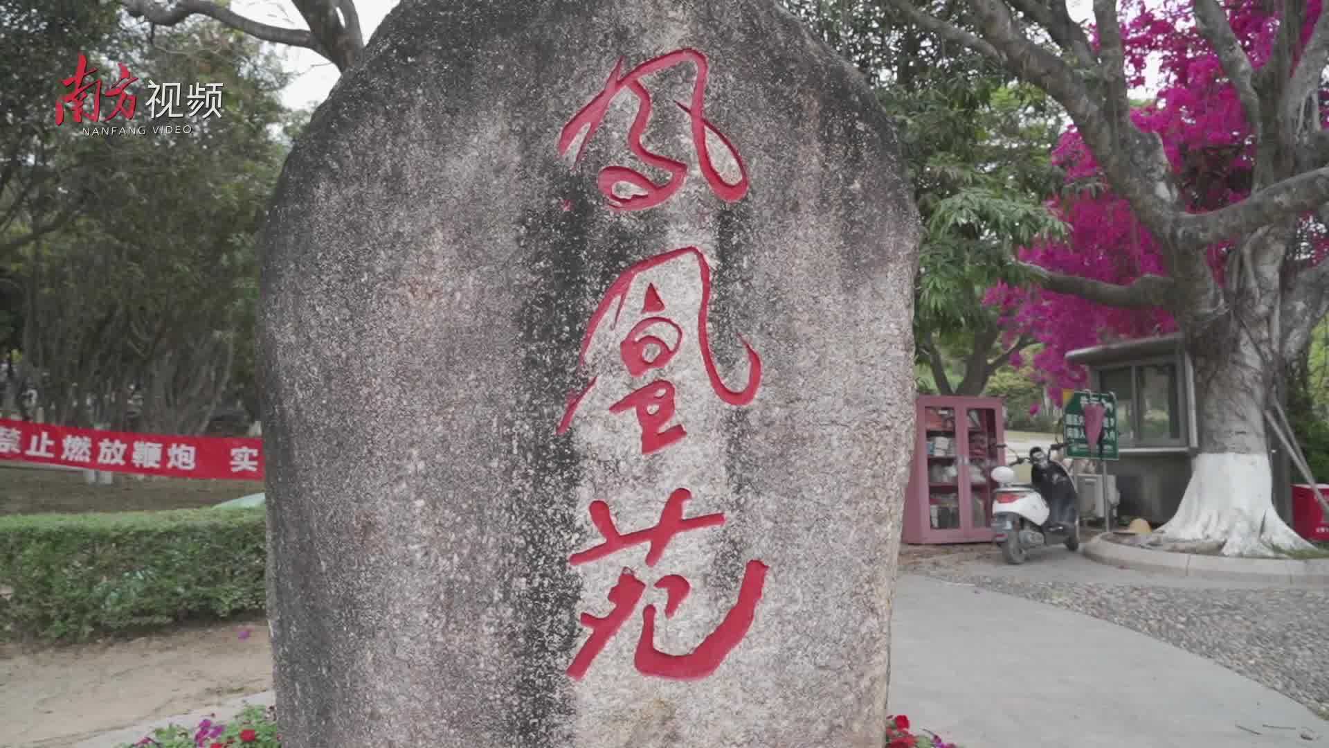 清明特稿|宝山园守墓人:常与死亡相伴,只为生者安宁