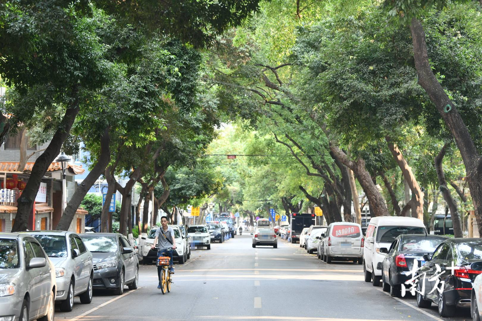 天佑三路两旁停满了小车。