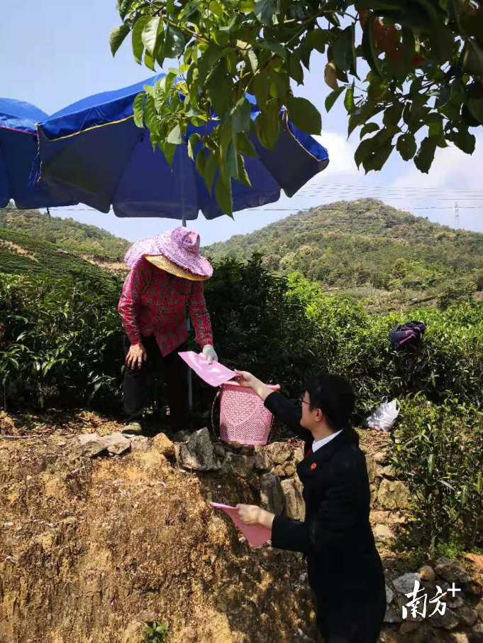 潮州法院干警深入到田间地头，开展普法活动。受访单位供图