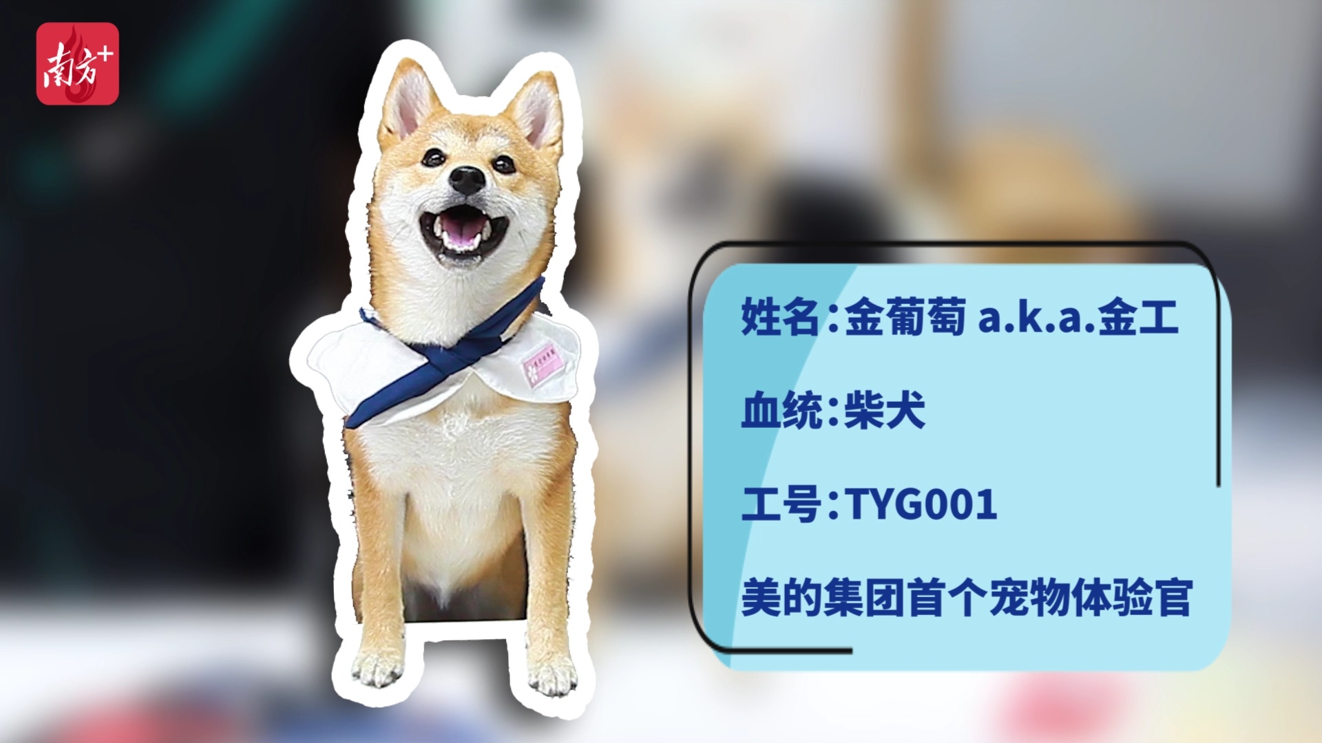 南方特稿 方洪波的新宠 南方plus 南方