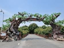 “碳中和新乡村”来了！｜一文速览《南方日报·高州视窗》第6期