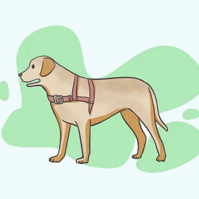 电动轮椅怎么充电【关注】清明小长假来啦!收好这份“吃、穿、行、玩”安全表!_新闻资讯_第10张_活检穿刺产品网 电动轮椅怎么充电【关注】清明小长假来啦!收好这份“吃、穿、行、玩”安全表!_https://www.jmylbn.com_新闻资讯_第10张