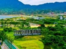 南方观察|爱大鹏，始于颜值，敬于气质，久于文明