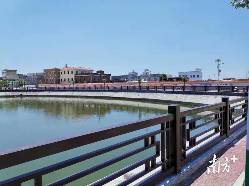 新酉村大水池，受访者供图。