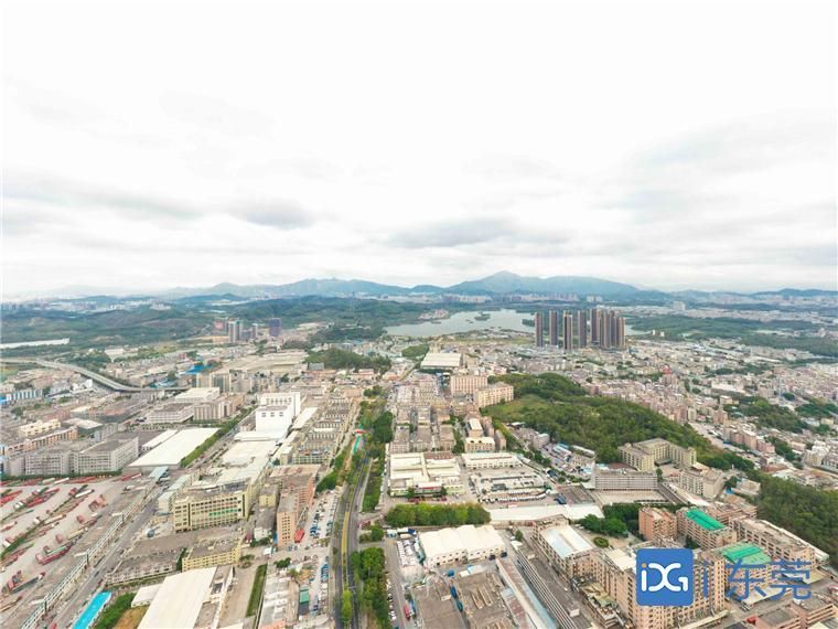 ▲凤凰大道航拍图