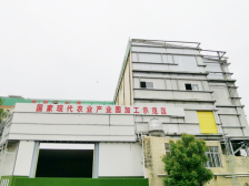 荔枝大年，电白企业提前入赛道