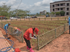 省报看电白|干群齐聚力，乡村焕新颜！沙琅镇敲响
