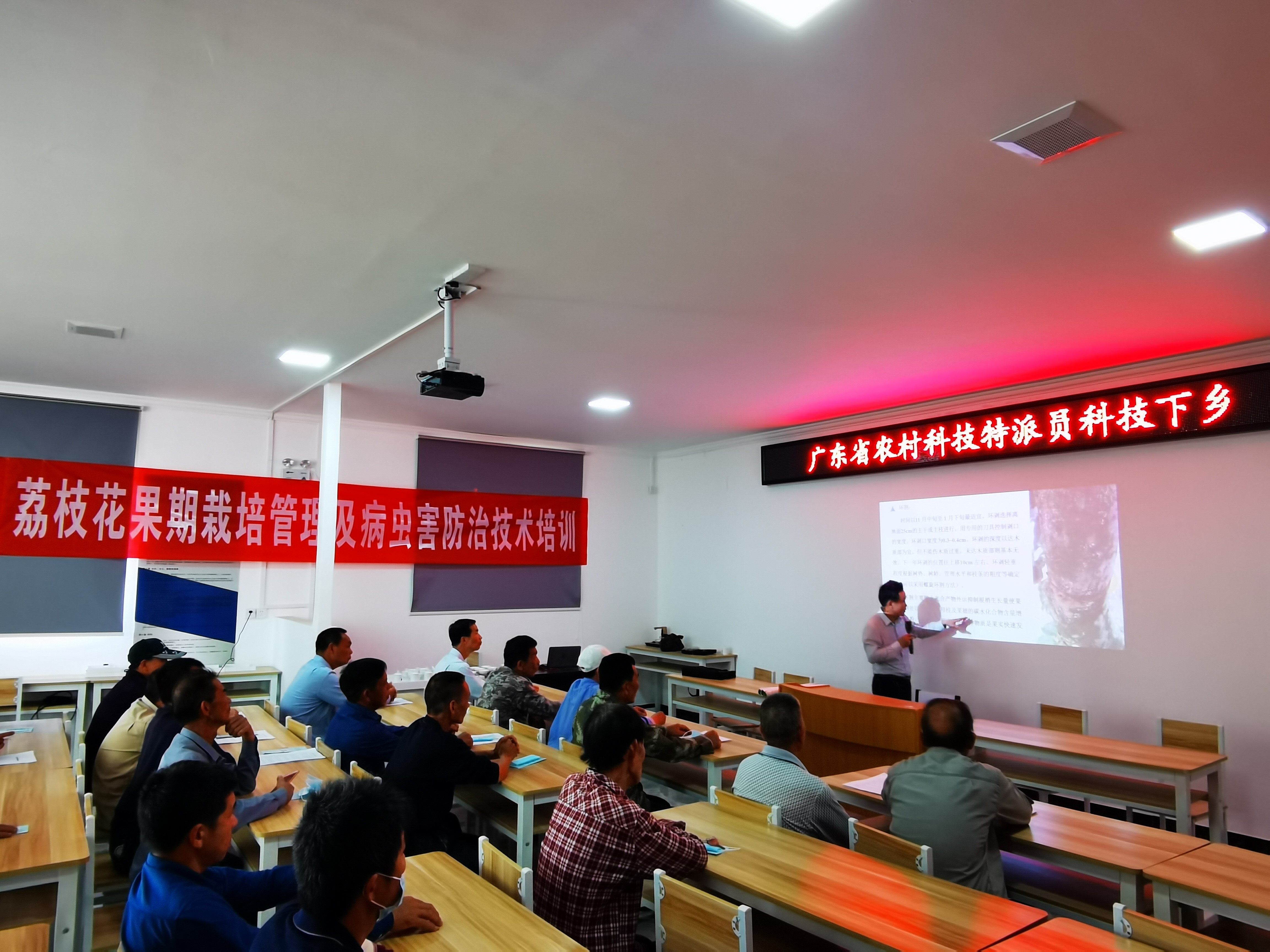 韩山师范学院专家团队为荔枝“把脉问诊”。