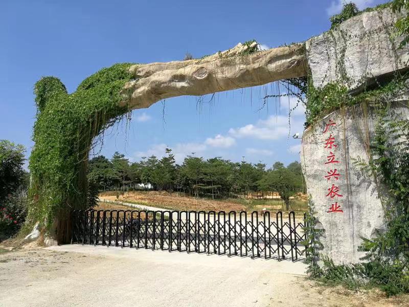 位于潮州市饶平县的广东立兴农业开发有限公司。受访者供图