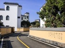 省报看高州｜富村兴业、生态宜居：乡村振兴号角下的高州探索