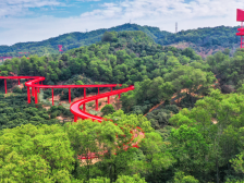 走虹桥，跟光明区两新党员一起学党史!