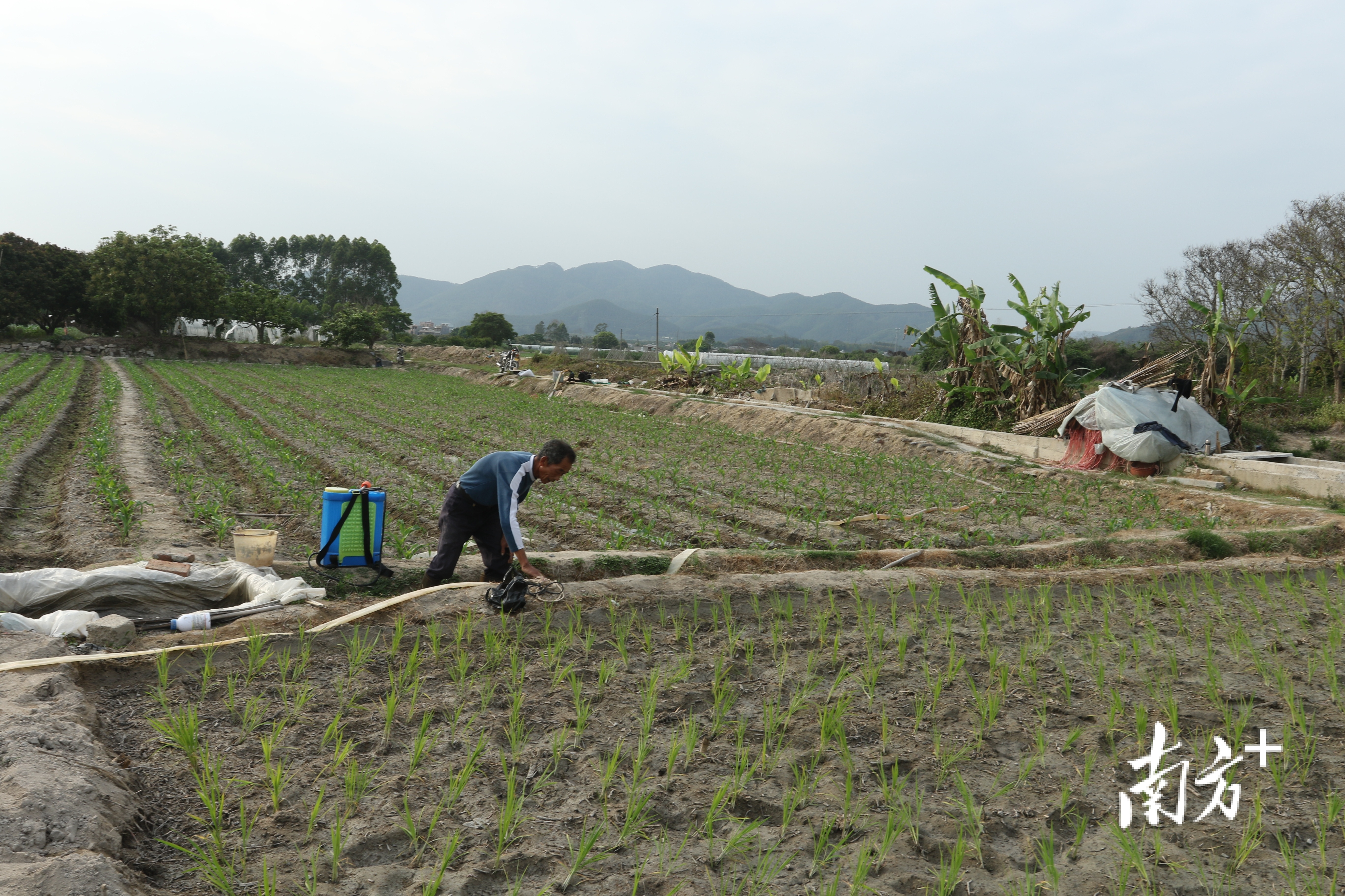 春光村农户在地里挖了一个4米多的水井满足灌溉需求.黄敏璇 摄