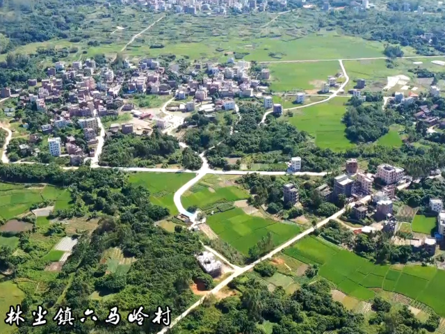 六马岭村:“一只蛋”富了一条村