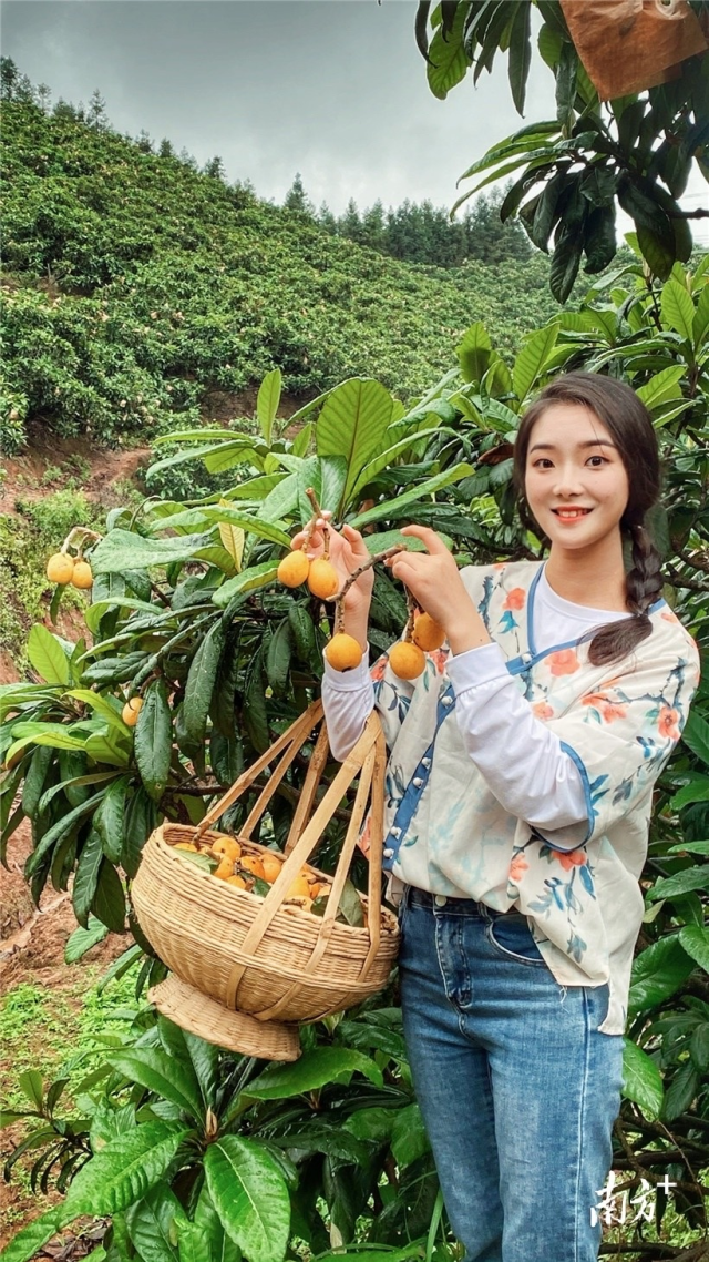 春落始兴雨歇枇杷酝酿四时之气偷得至味清欢