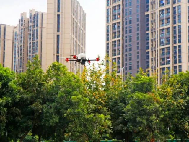 东莞石碣水稻种植实行无人机飞播,尽显科技范!