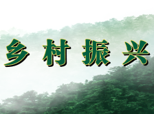 乡村振兴谱新章