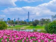 深圳的“先”与“后”