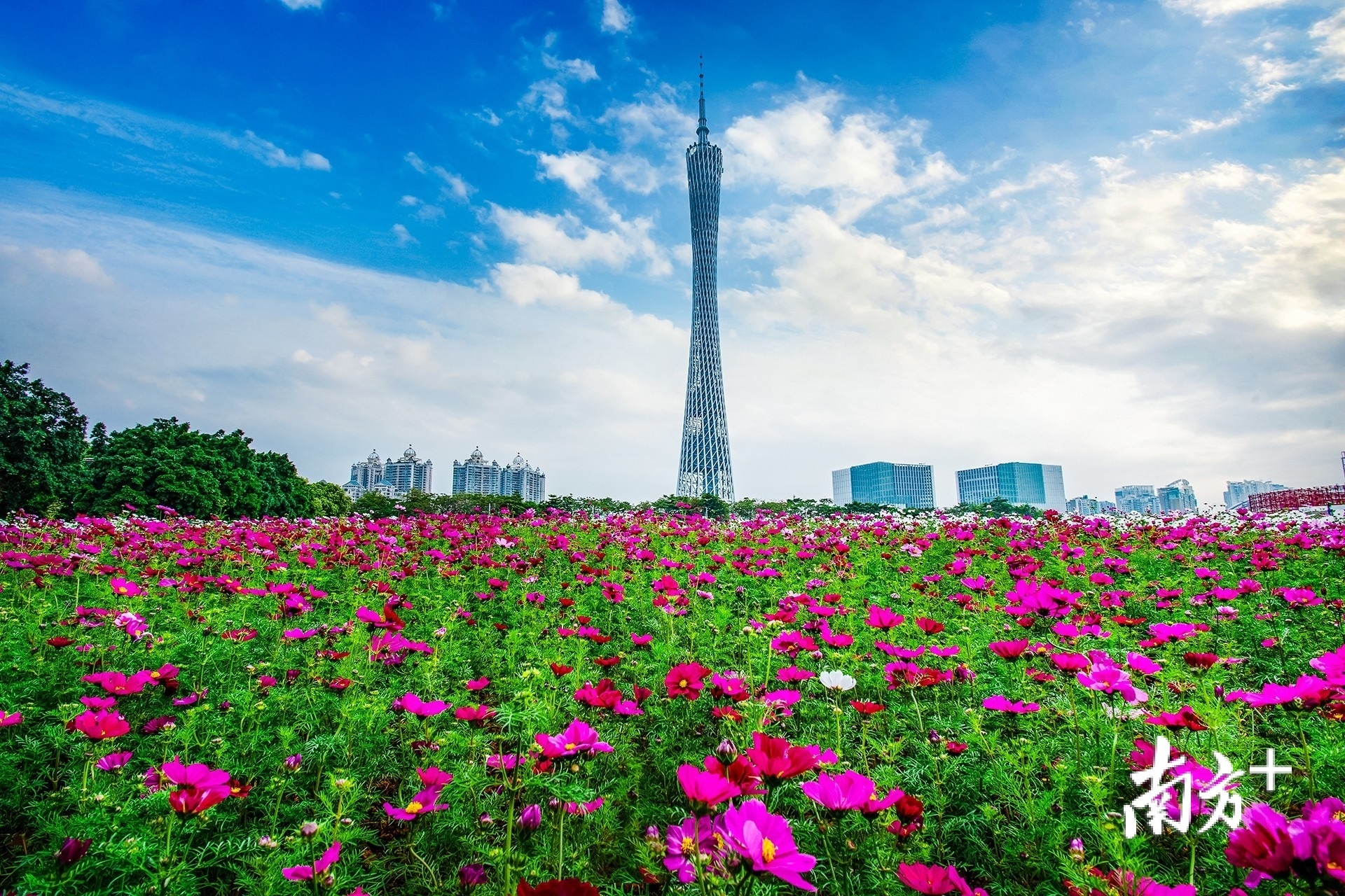 广州花海景点图片