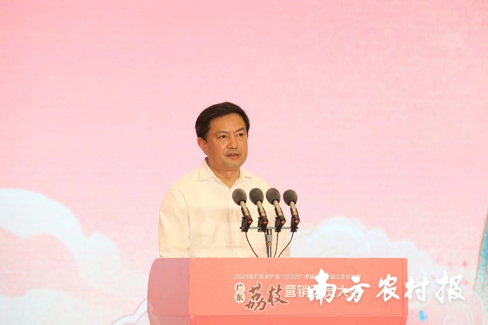 广州增城区委书记张火青