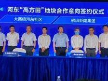 南海“毛地入市”饮下“头啖汤”