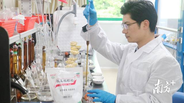 粵澳科研團隊聯合攻關中藥二次開發。