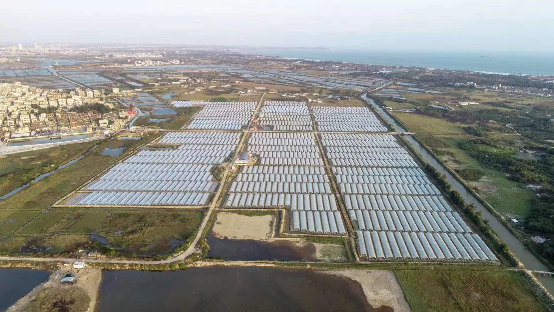 博社村曾堆放过制毒原料麻黄草的荒地建起了超500亩的种植大棚。 博社村曾堆放过制毒原料麻黄草的荒地建起了超500亩的种植大棚。