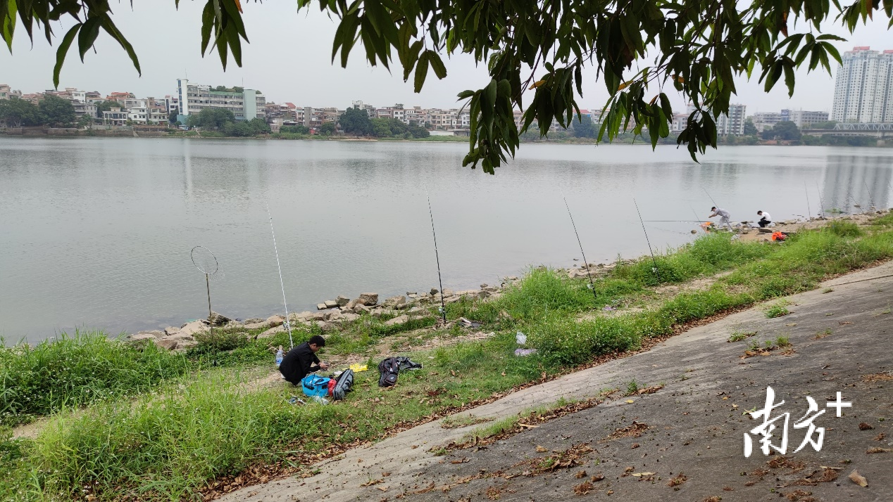 东莞市民注意在东江一级水源保护区钓鱼将被罚款