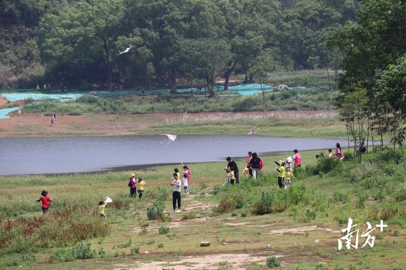 助力创森，近300人在拾贝湖畔健步行