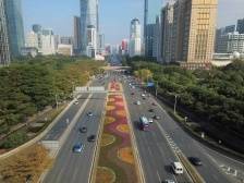 以良法引领改革、推动发展、保障善治，深圳打造法治城市示范|十看党代会报告