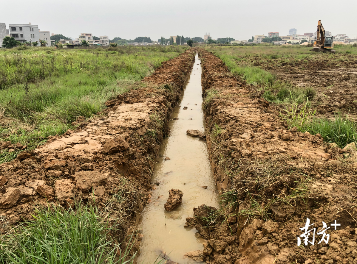 潮安区浮洋镇原本被杂草堵住的十二斗渠于近日基本打通。黄敏璇 摄