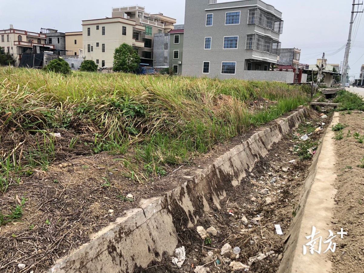 潮安区浮洋镇斗门中村近一公里长的新分渠分斗三渠泥土与垃圾堆积。黄敏璇 摄