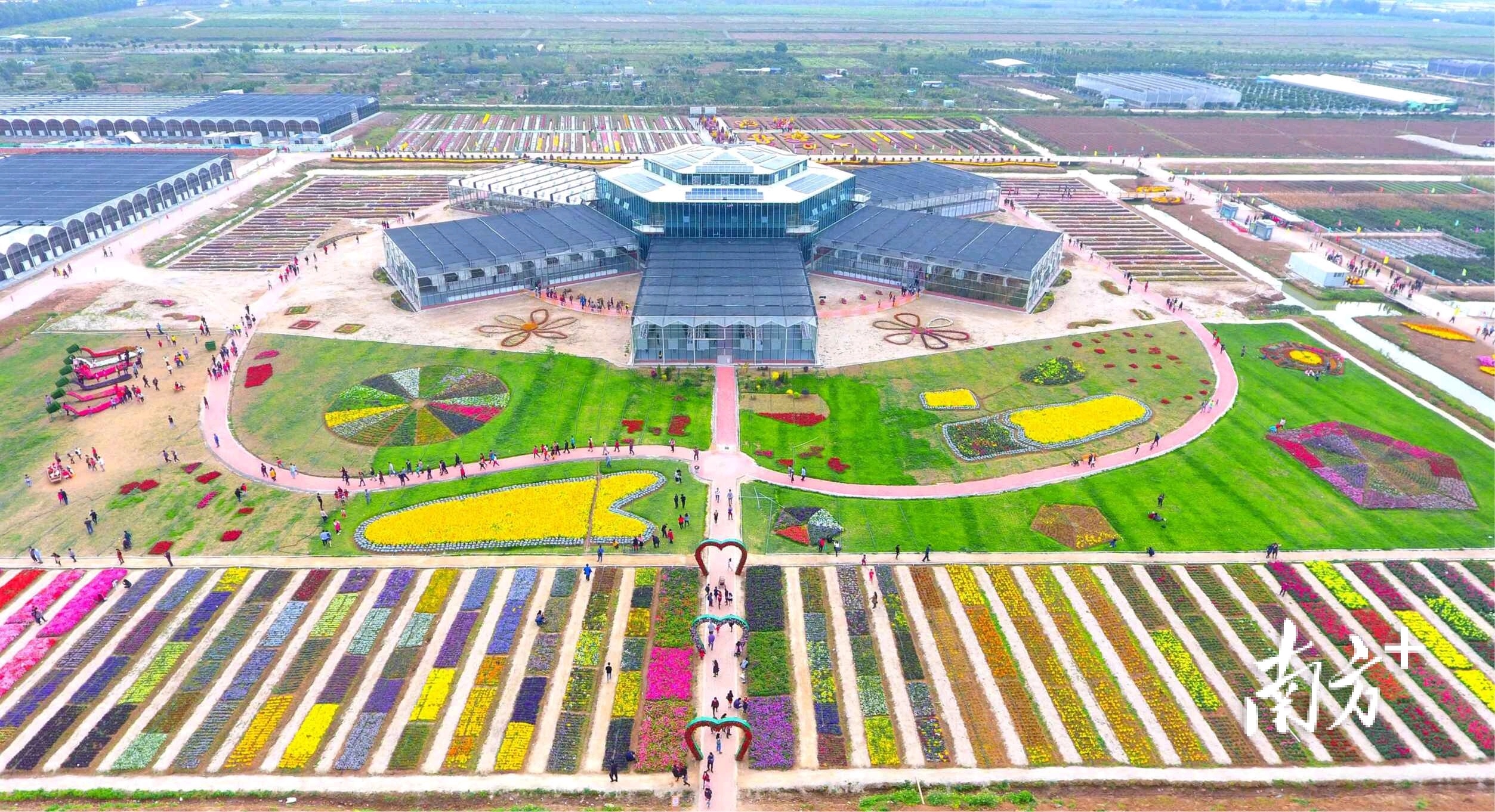 台创园可体验蔬果采摘、花卉观赏等。