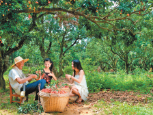 “一骑红尘”为你送荔枝 | 速览《南方日报·高州视窗》第10期