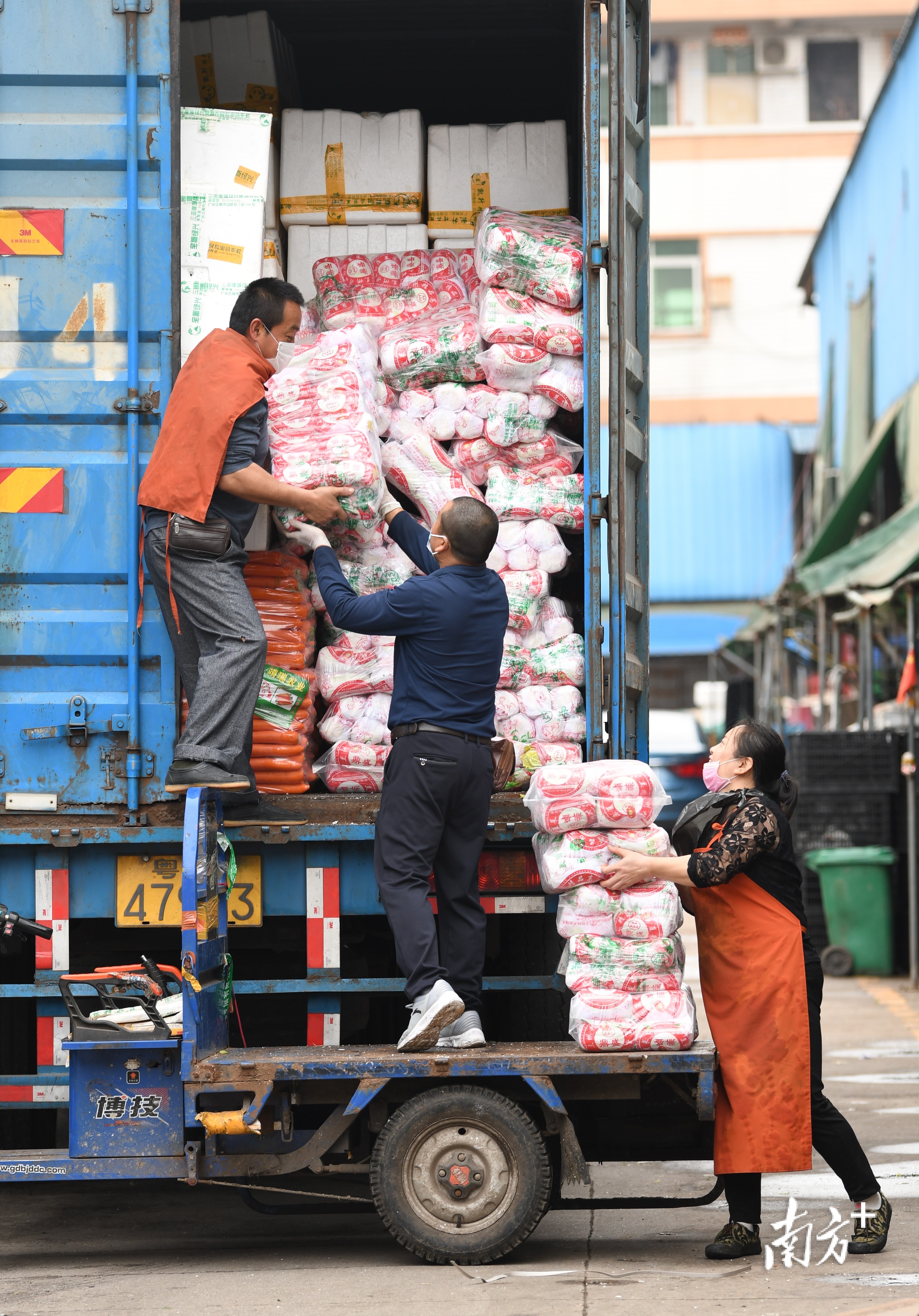 农贸市场里合作搬货的工人.杨兴乐摄农民工采摘新会柑.