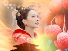 广东荔枝“火”到央视啦！