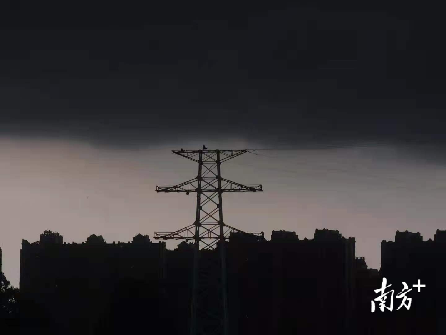 南方拍客 葡萄汽水 摄 南方拍客 葡萄汽水 摄