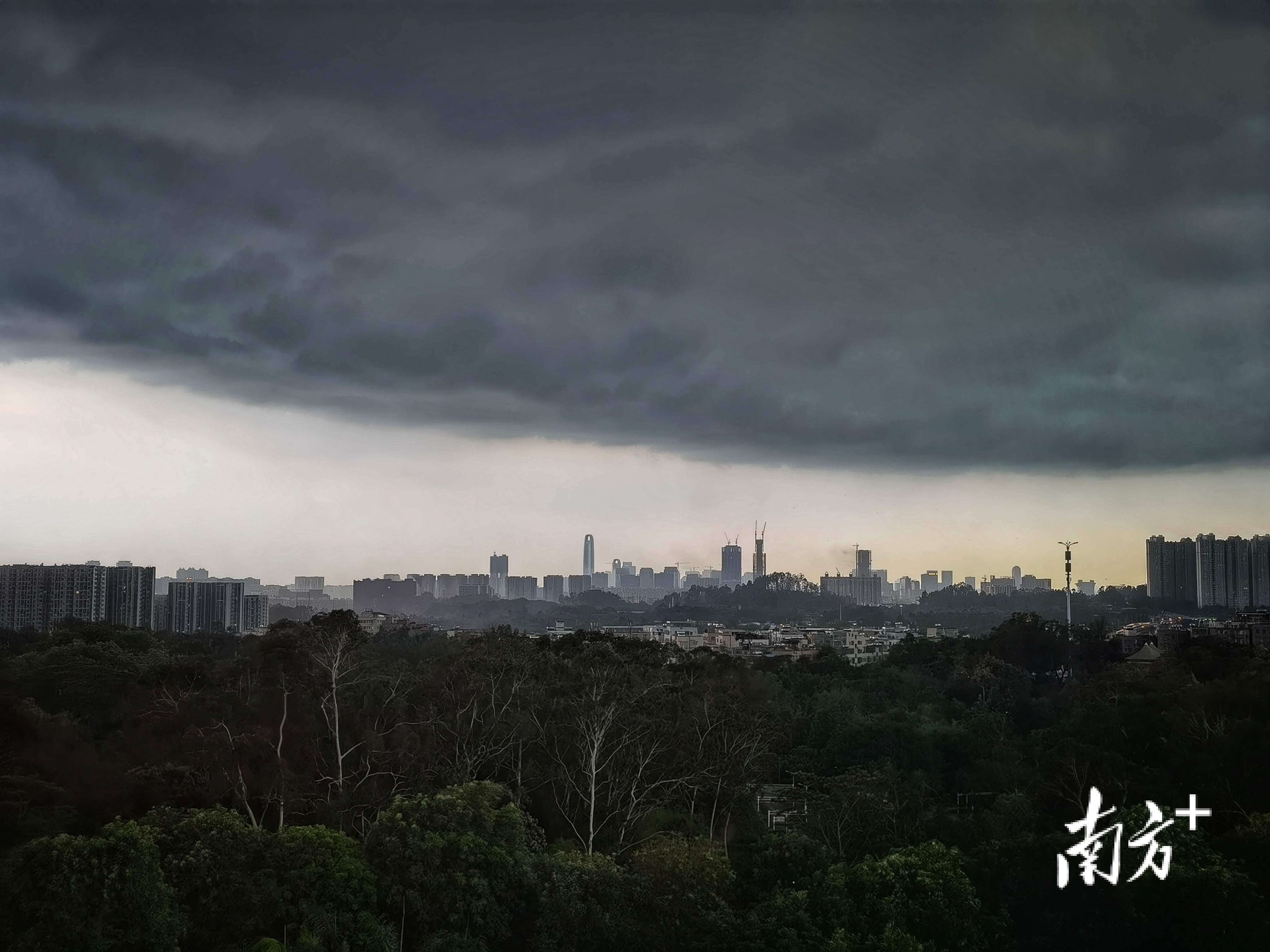 南方拍客 逸松 摄 南方拍客 逸松 摄