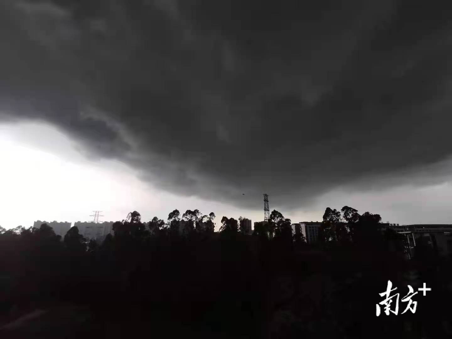 南方拍客 葡萄汽水 摄 南方拍客 葡萄汽水 摄