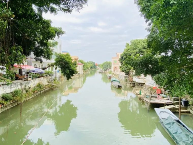 看水乡还要去江南?南沙这4个水乡绝美了!