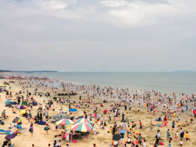 “山海并茂、好心闻名” 手绘动图带你领略滨海茂名的美