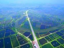 袁隆平曾到访，阳江这片农业园区每年推新优品种400多个|小南叹高速