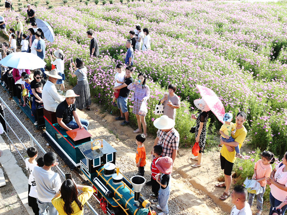 网红小火车 带旺乡村游