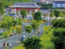 2021年广东创新科技职业学院招生简章