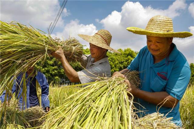 产业优村民富生态美,田园乡村里侃小康