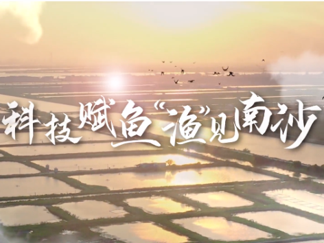 科技赋鱼,“渔”见南沙