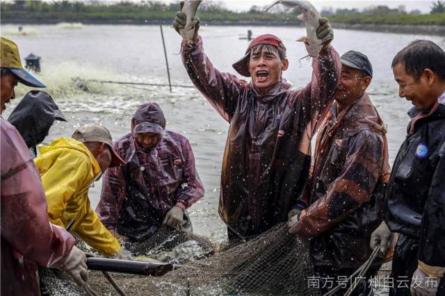 产业优村民富生态美，田园乡村里侃小康