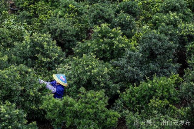 产业优村民富生态美，田园乡村里侃小康