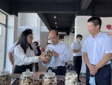 全国供销总社理事会副主任邹天敬一行调研新会陈皮国家现代农业产业园