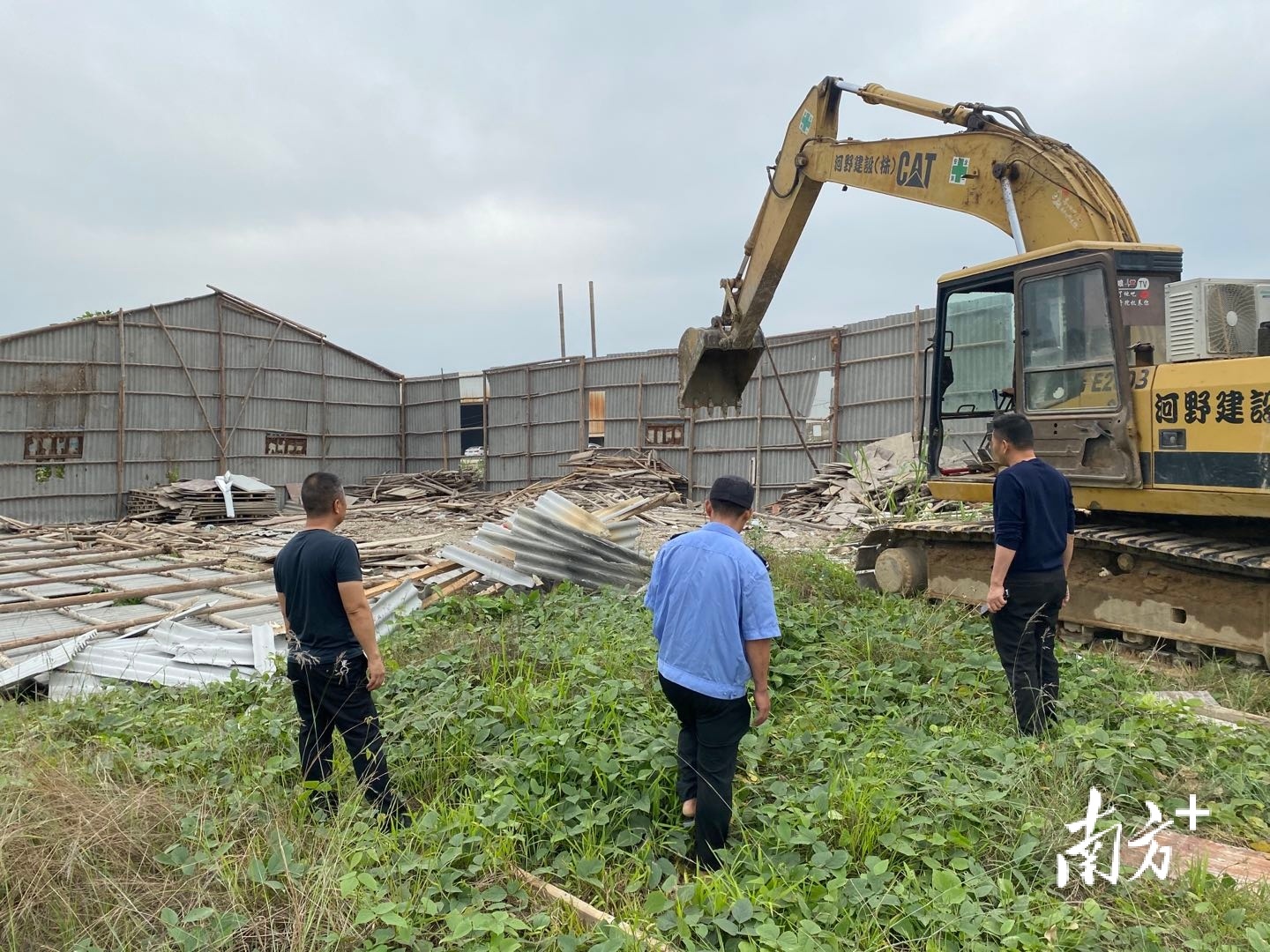 对禁养区内养殖户落实关停，并拆除其构建物。